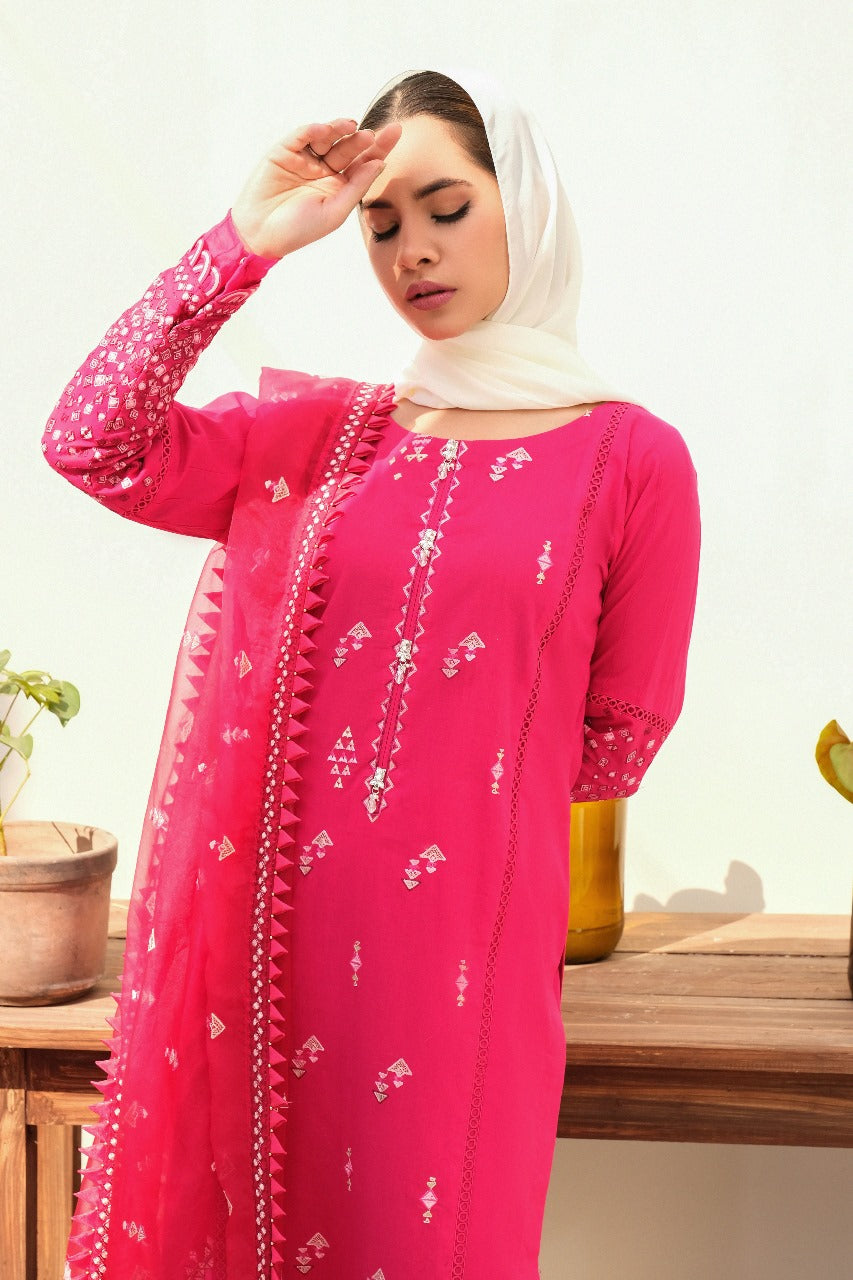 Bloom - Eshaal Mishkaat