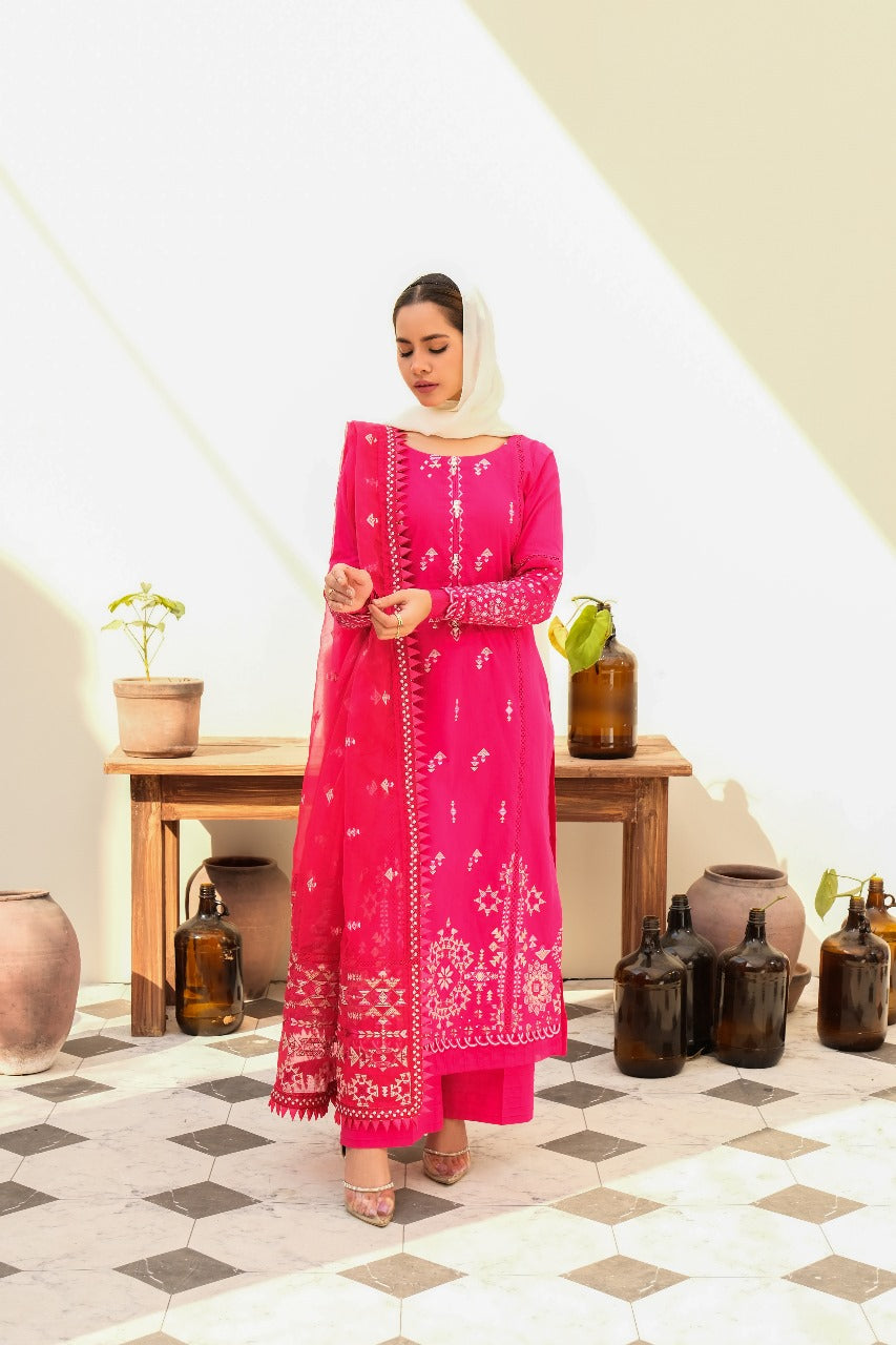 Bloom - Eshaal Mishkaat