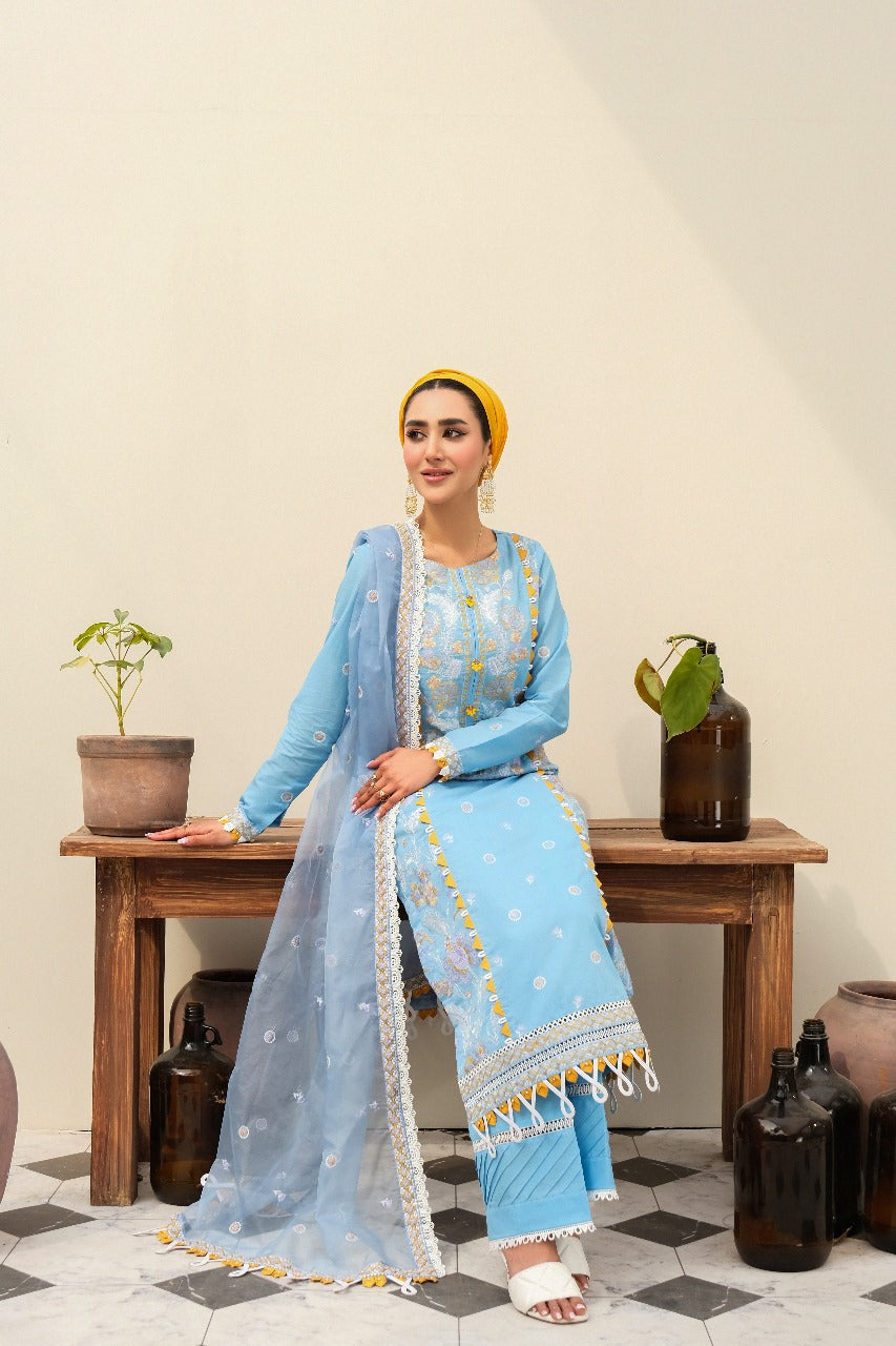 Ember - Eshaal Mishkaat