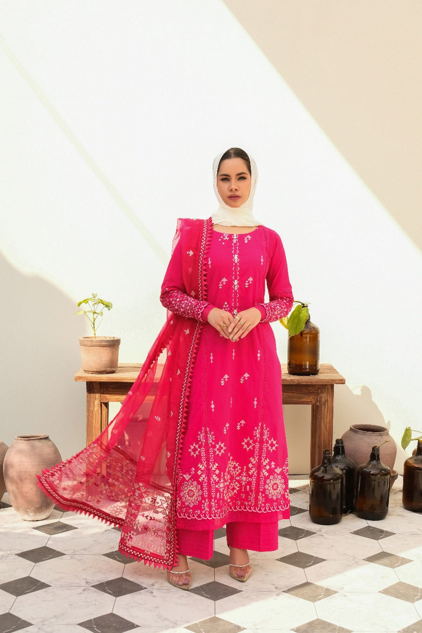 Bloom - Eshaal Mishkaat