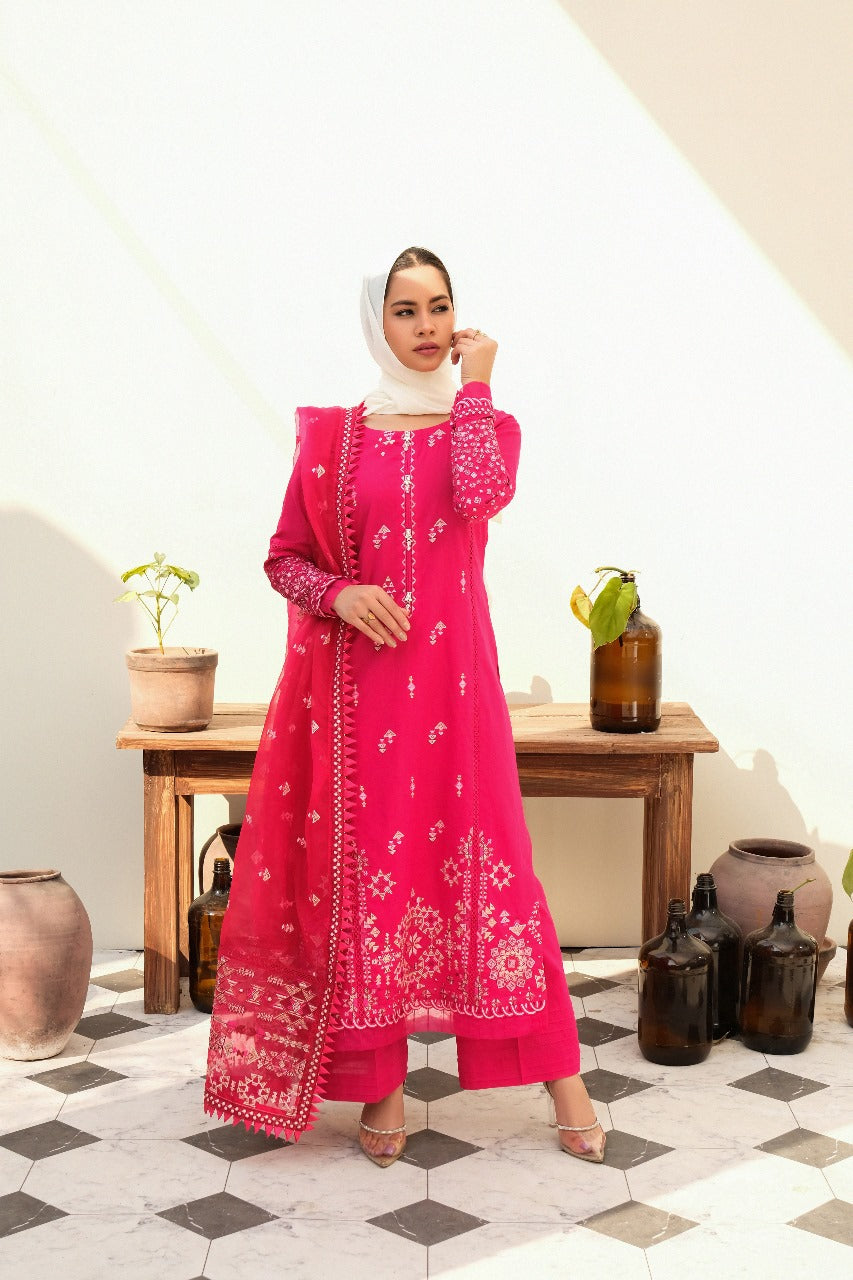 Bloom - Eshaal Mishkaat