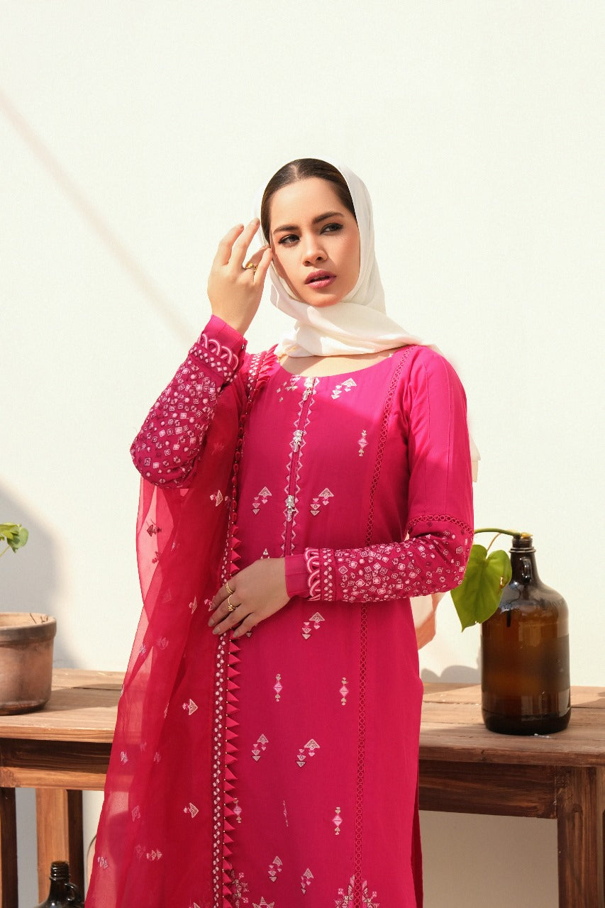 Bloom - Eshaal Mishkaat